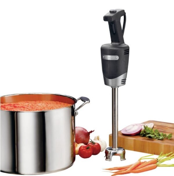 Immersion Blender WSB40
